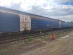 CPS FLT-302194-7